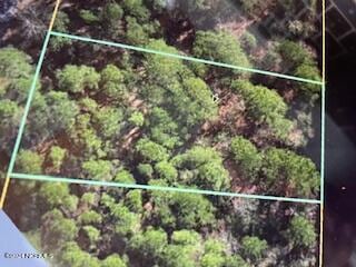 249 S Horsepen Dr, Harrells, NC 28444 - photo 1