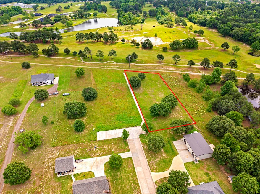 Lot 7 Babes Landing, Lindale, TX 75771 - photo 1