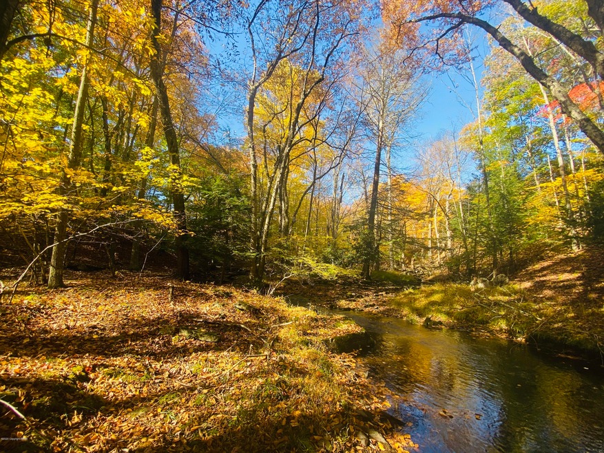 0 Mohican Rd unit PM-77144, Canadensis, PA 18325 - photo 1