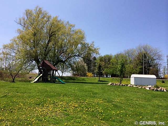 Yard/Garden