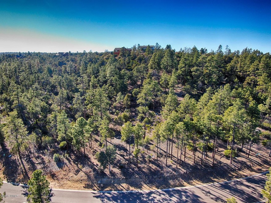 428 S Pleasant View Dr, Show Low, AZ 85901 - photo 1