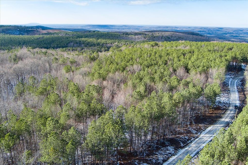 Lot 57 Spokelay Rd, Spencer, TN 38585 - photo 1