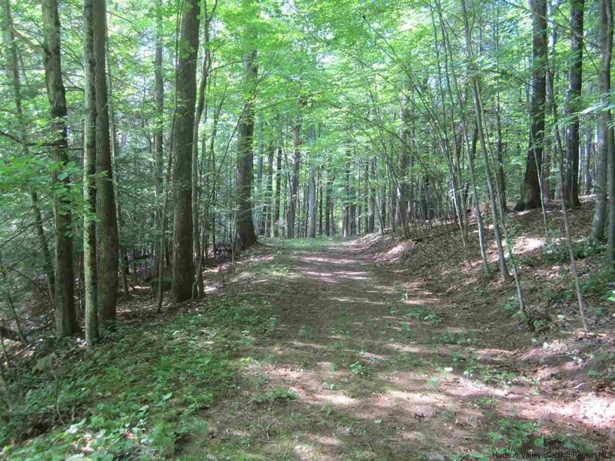 0 Foordmore Rd unit 20133920, Wawarsing, NY 12446 - photo 1