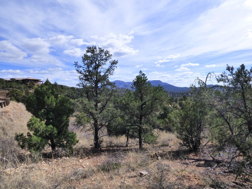 LOT 5