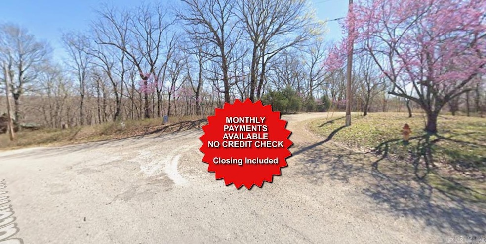 Lot 42 Lido Ln, Holiday Island, AR 72631 - photo 1