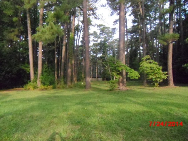 Primary Photo