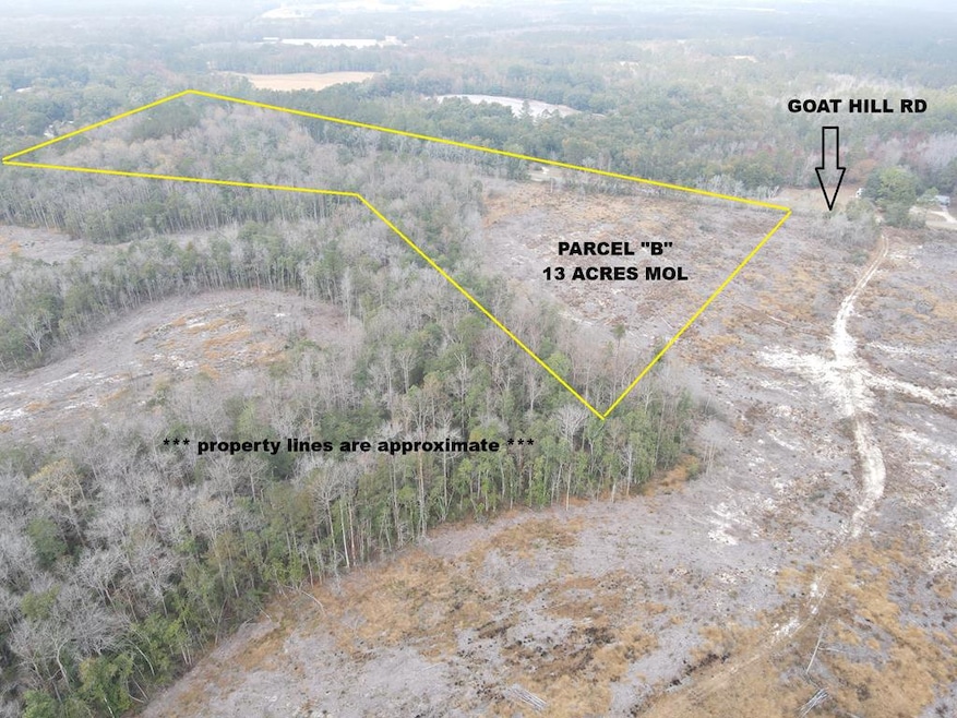 13 Acres Goat Hill Rd, Samson, AL 36477 - photo 1