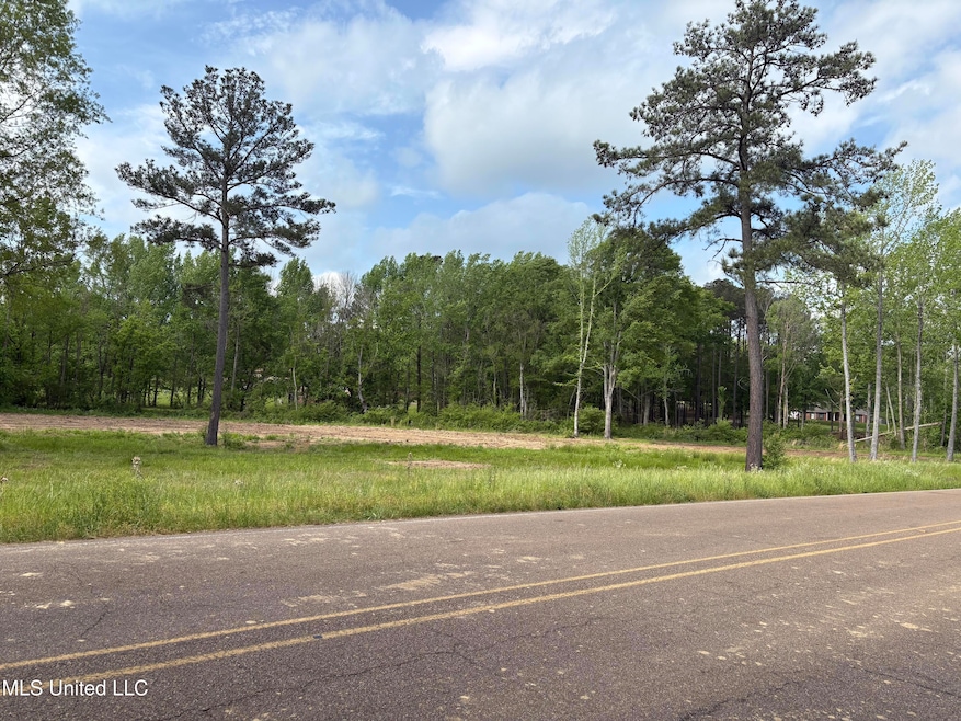 4887 Jackson Raymond Rd, Raymond, MS 39154 - photo 1