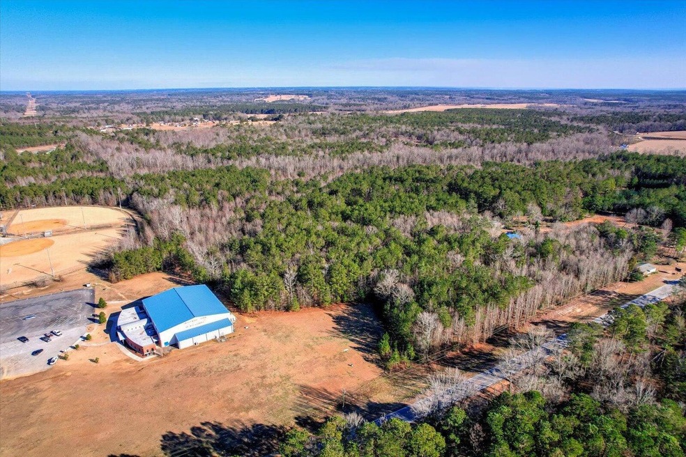 0 Wrens Hwy unit 549833, Thomson, GA 30824 - photo 1