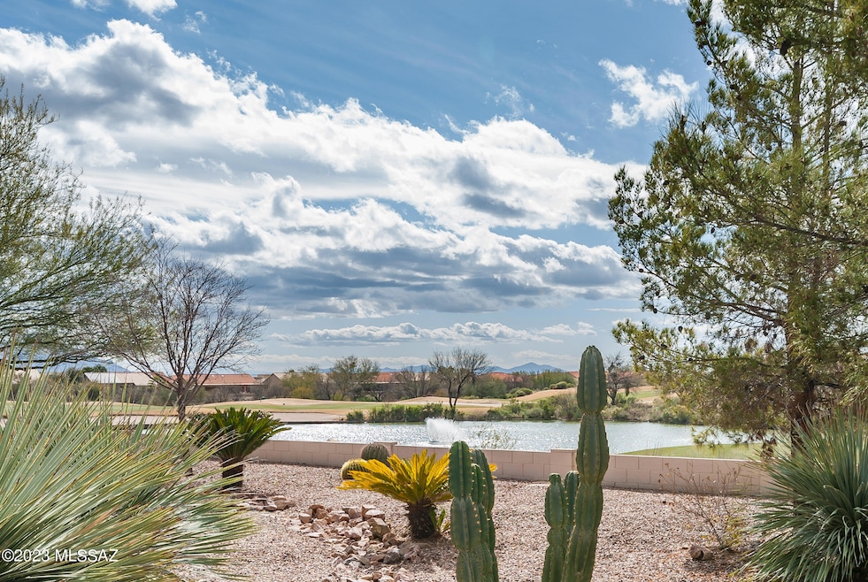 View from Side Yard