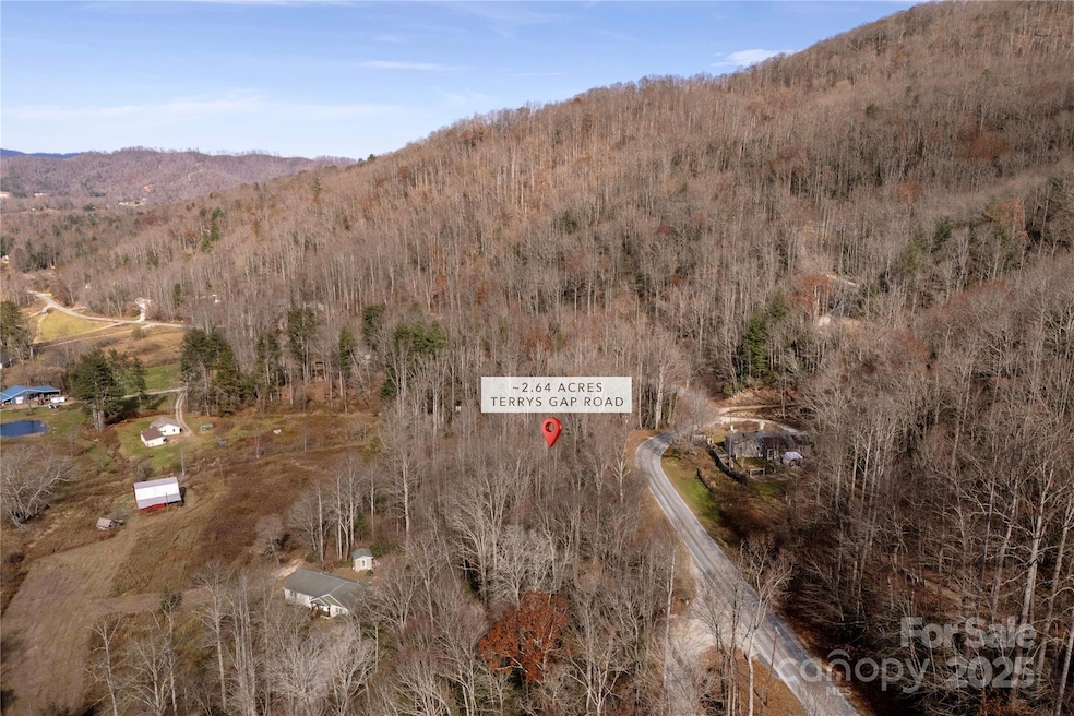 00 Terrys Gap Rd, Fletcher, NC 28732 - photo 1