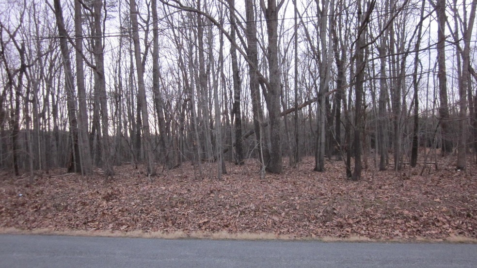 0 Museville Rd unit 815949, Callands, VA 24530 - photo 1