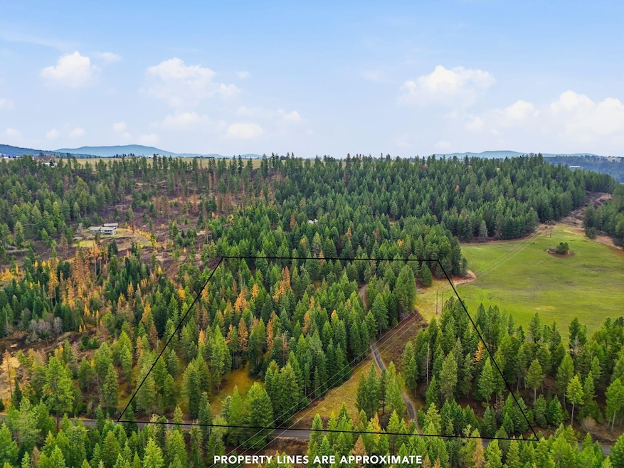 12112 E Burnett Rd, Mead, WA 99021 - photo 1