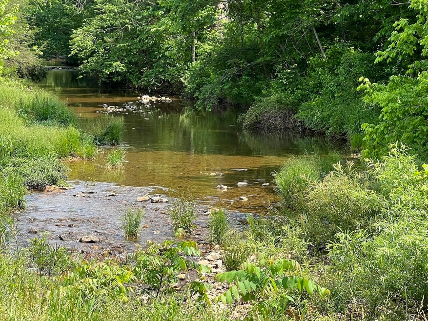 Creekfront