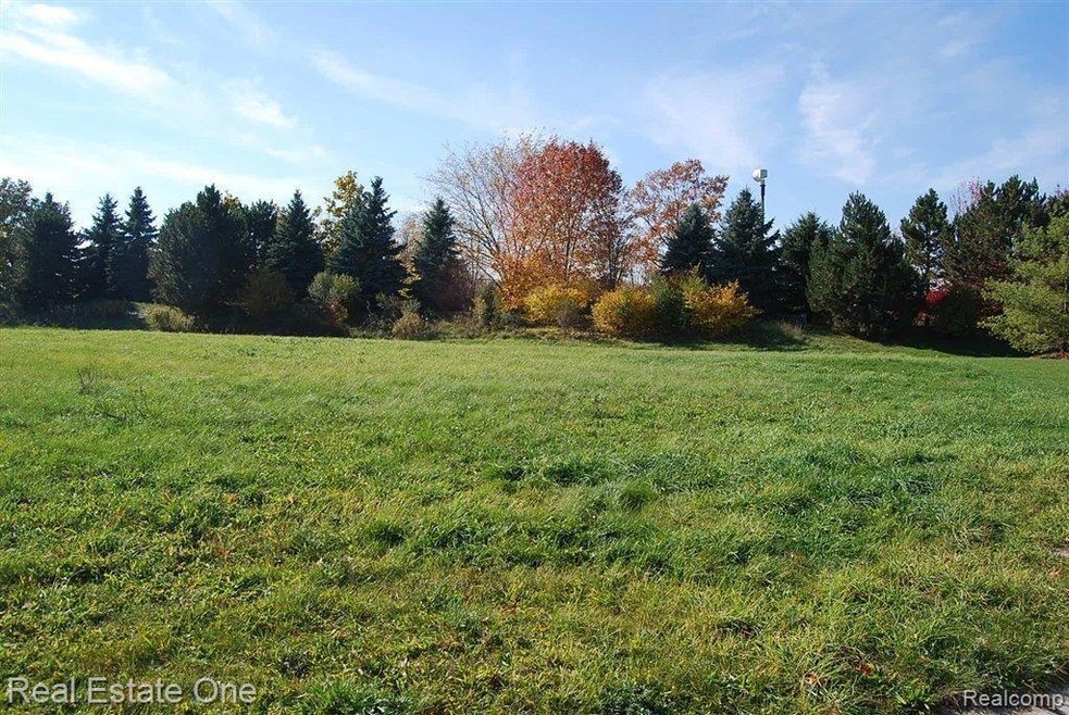 Large Lot