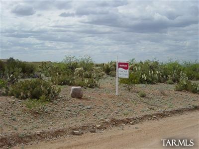 1131 N Vidal Dr, Vail, AZ 85641 - photo 1