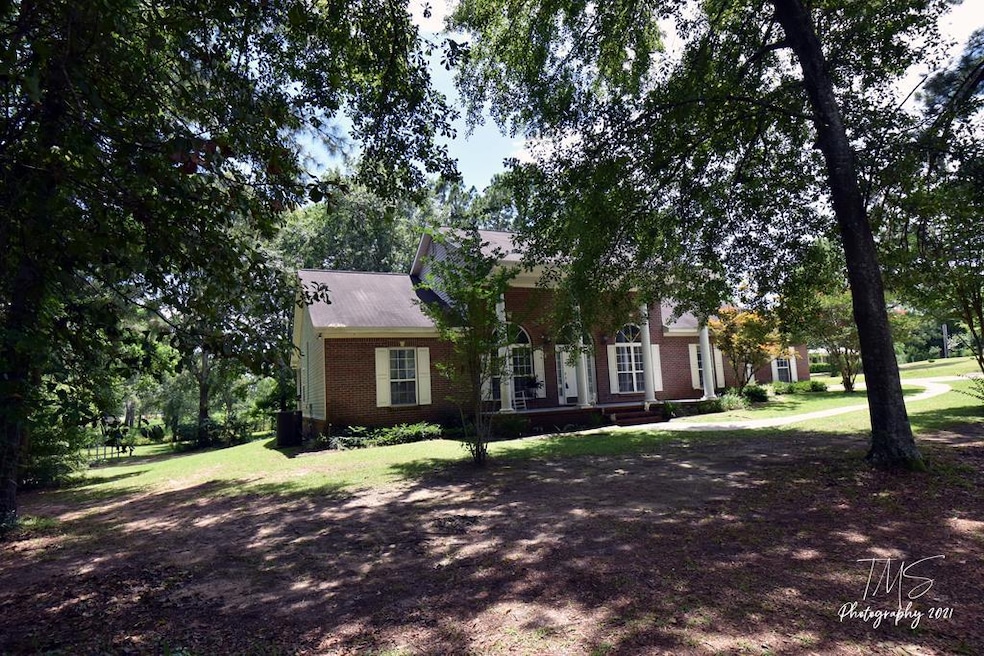 Main View