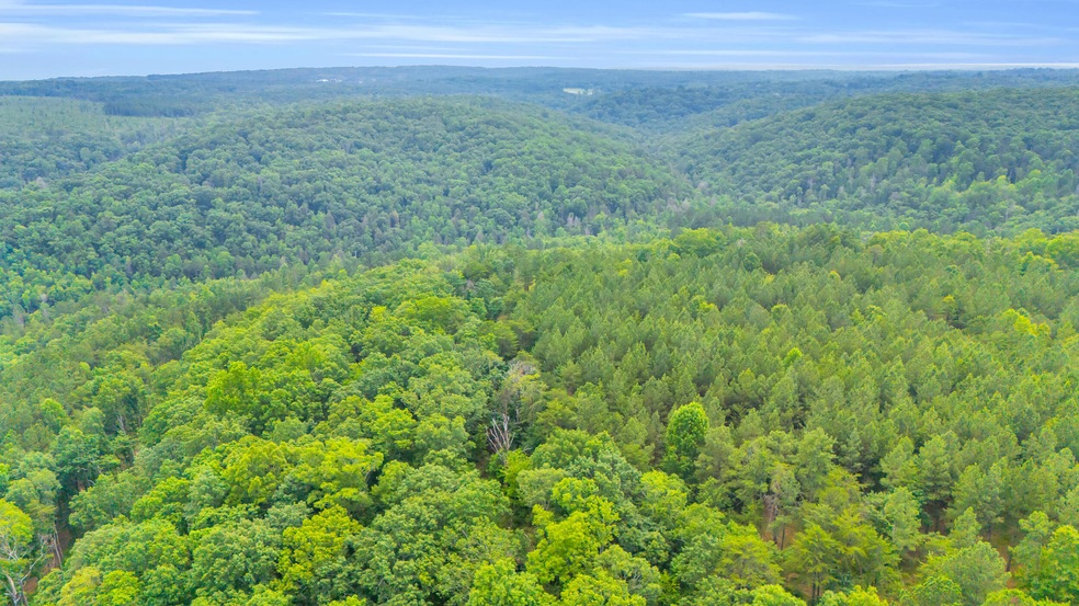 DJI_20250626034747_0255_D