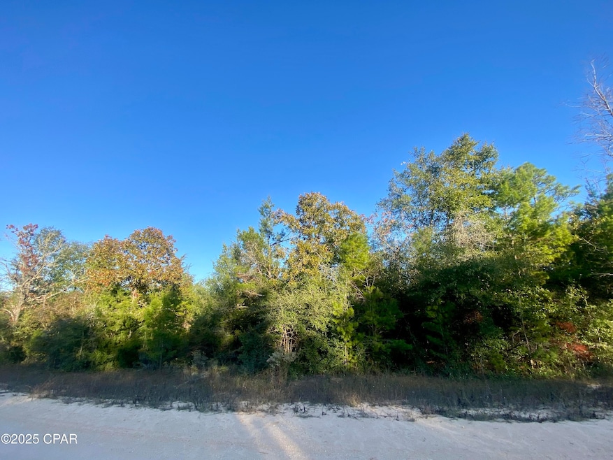 Lot 34 Anderson Dr, Alford, FL 32420 - photo 1