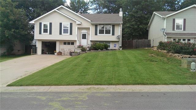 131 Jayhawk Ct, Lansing, KS 66043 - photo 1