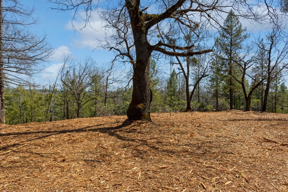 10 Howards Crossing Rd, Placerville, CA 95667 - photo 1