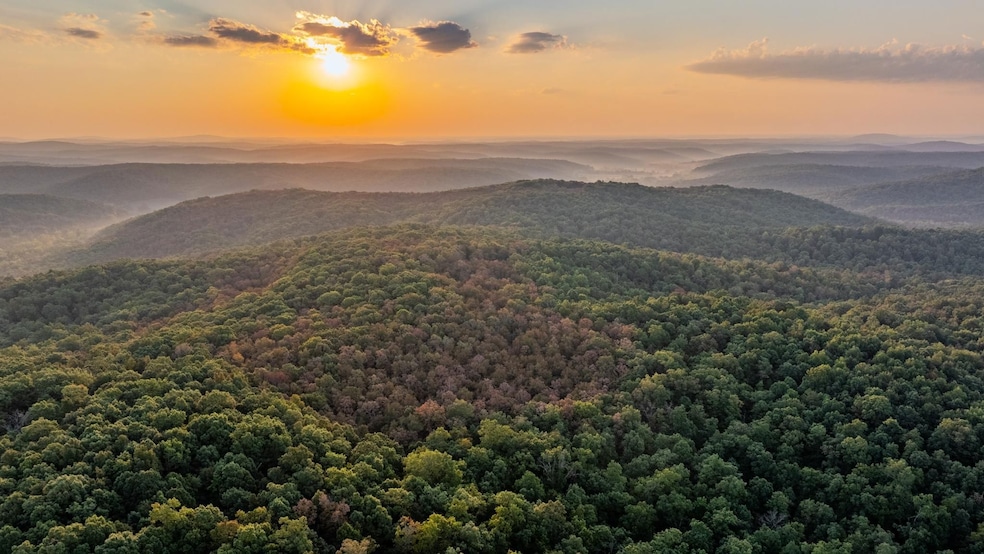 0 Annapolis Rd unit 24777060, Annapolis, MO 63620 - photo 1