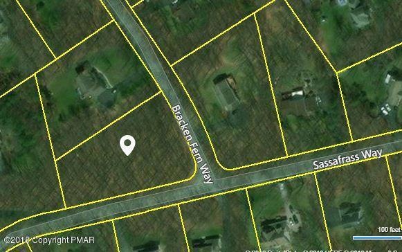 601 Bracken Fern Way, Stroudsburg, PA 18360 - photo 1