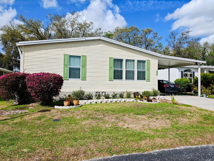 3553 Azinger Loop