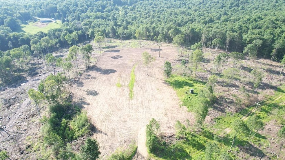 Route 580 Hwy unit 6, Cherry Tree, PA 15728 - photo 1