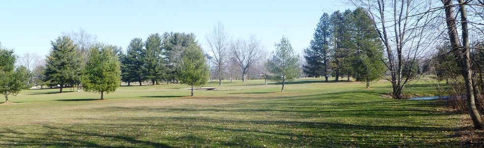 golf course view 3 crp