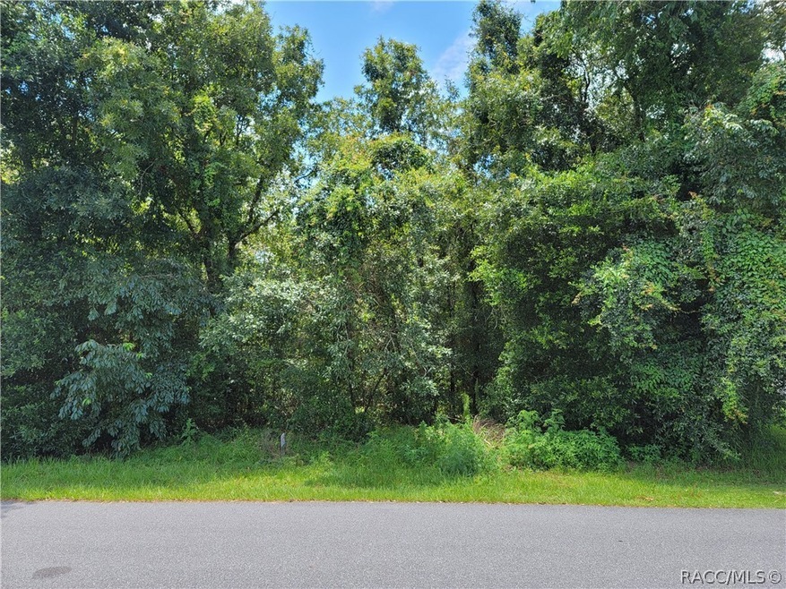 1664 E Saint James Loop, Inverness, FL 34453 - photo 1