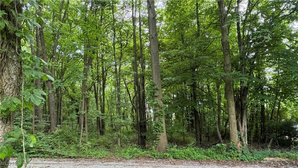 0 Aston Ave unit 5135286, Akron, OH 44319 - photo 1