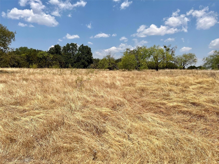 19134 White Bluff Dr, Whitney, TX 76692 - photo 1