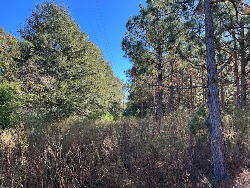 10 +-ac,Lot 1PL Cty Rd 140 Cty Rd 141, Headland, AL 36345 - photo 1