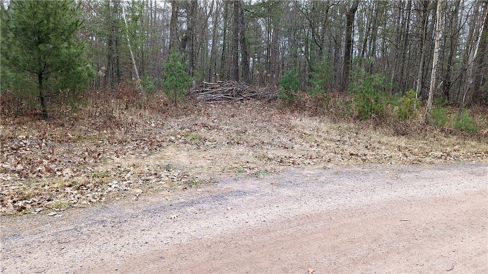 Driveway at the start of the property