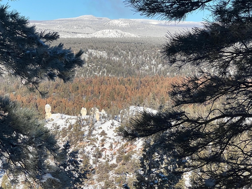 Sold • Co-Listing Agent