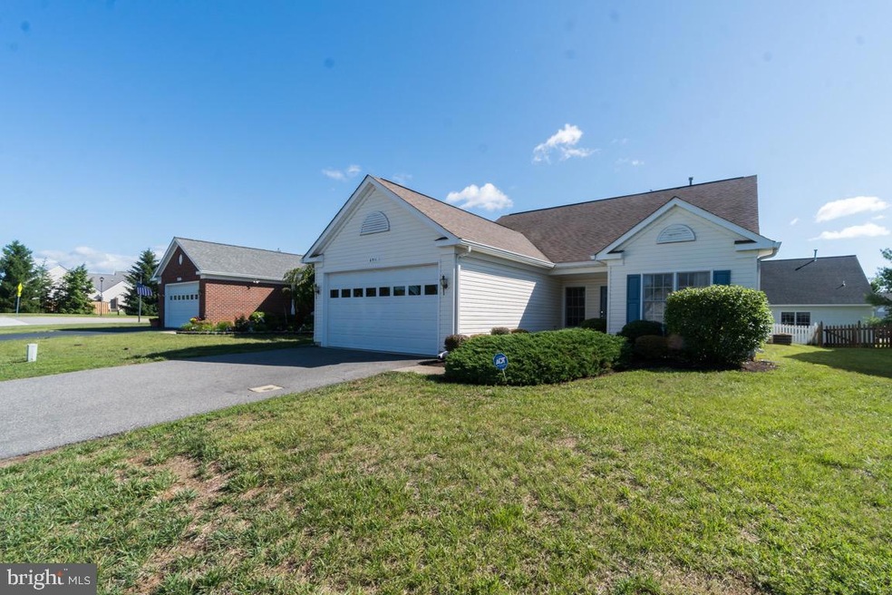 6911 Castleton Dr, Fredericksburg, VA 22407 - photo 1