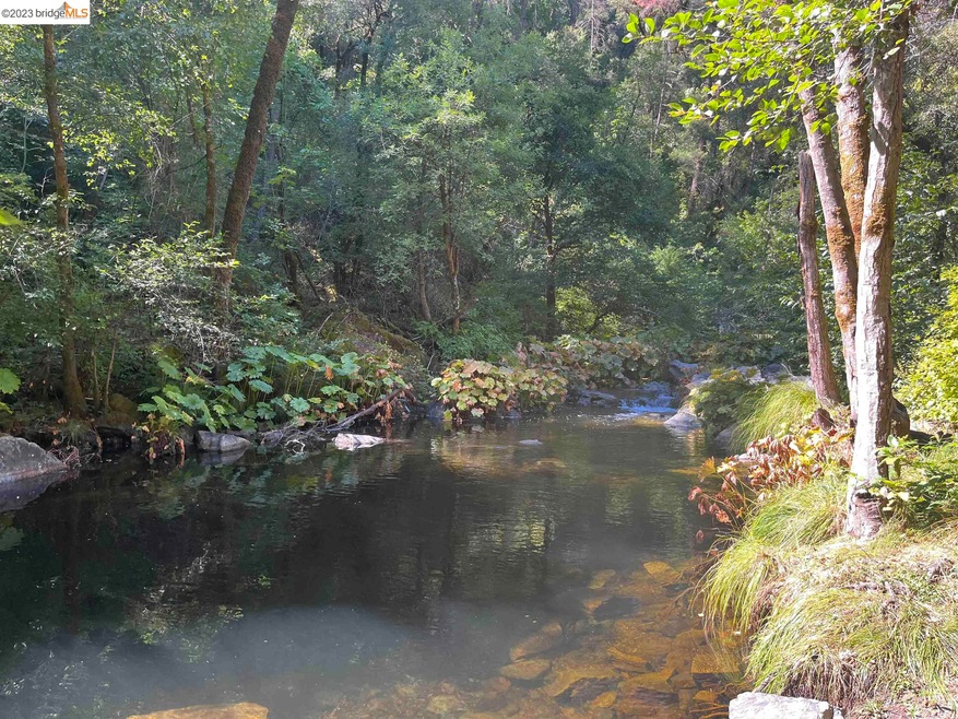 2582 Trail Gulch Rd, Placerville, CA 95667 - photo 1