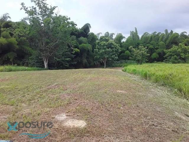 KM HM 0.8 Bo Carrizal, Aguada, PR 00602 - photo 1