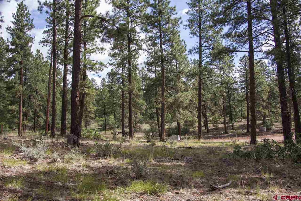 0 Calico Trail unit 696702, Durango, CO 81301 - photo 1