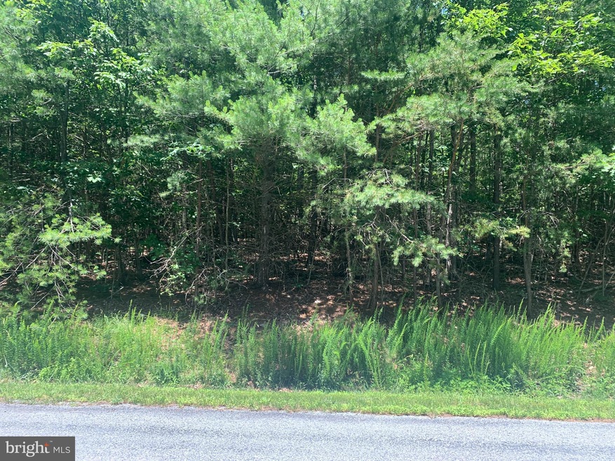 0 Twin Oaks unit VAWR143818, Bentonville, VA 22610 - photo 1