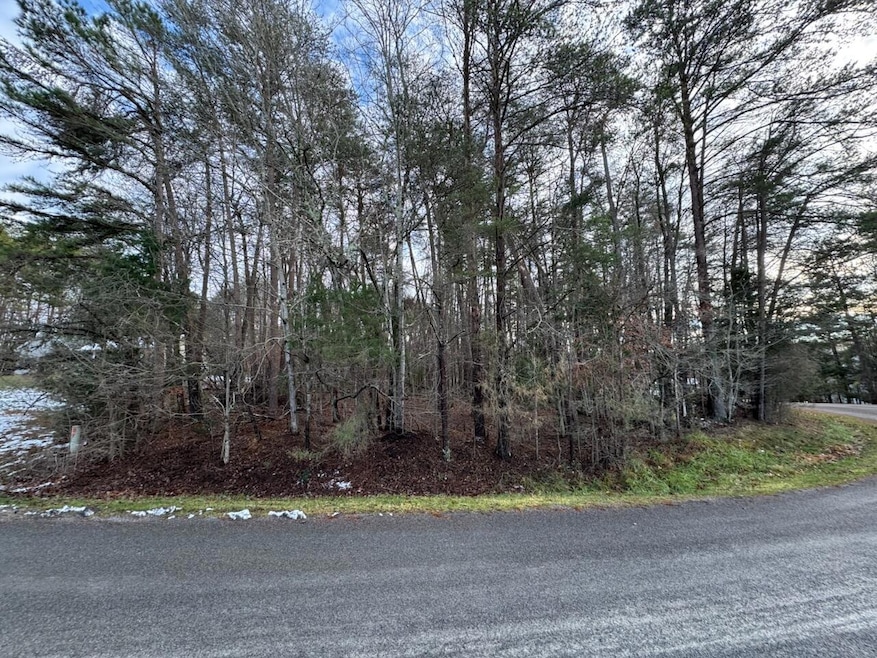 Lot 5 Highland Lake Rd, Union Hall, VA 24176 - photo 1