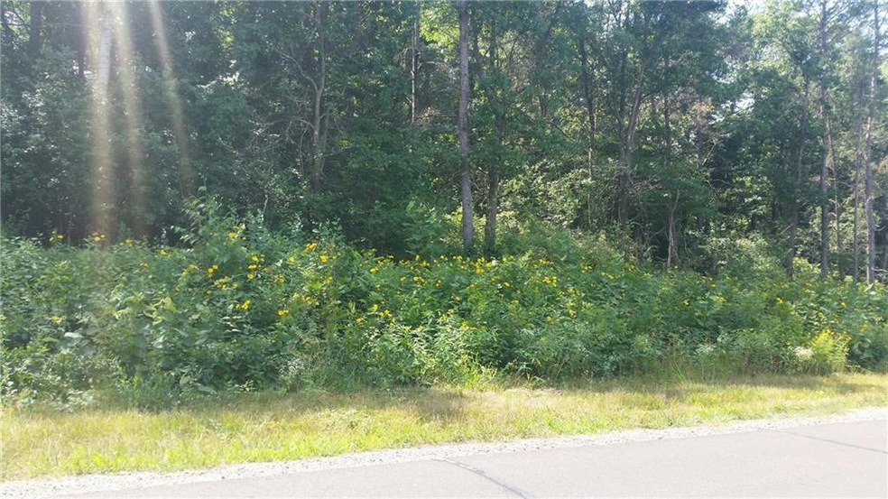 23 3/8th St. 8th Ave, Chetek, WI 54728 - photo 1