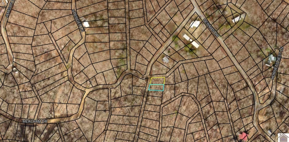 000 Meacham Dr, New Concord, KY 42076 - photo 1