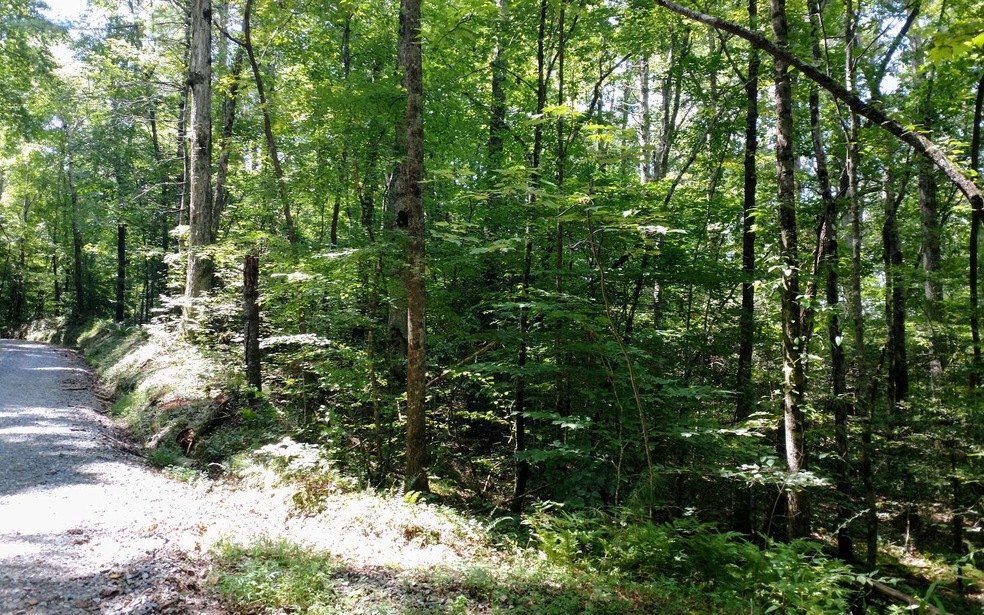 Lot 3 Maple Rest Ln, Ellijay, GA 30540 - photo 1