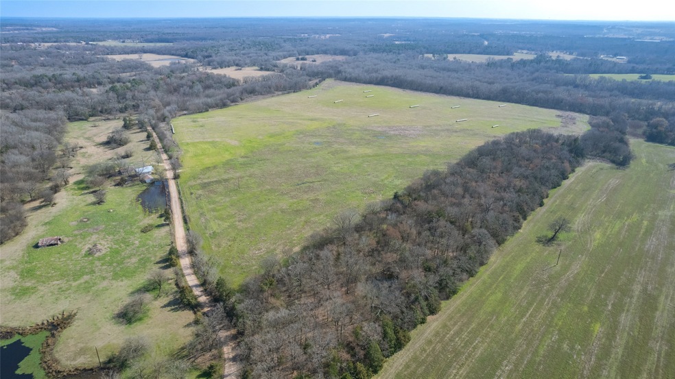 80ac Lot2 County Road 2376 unit 2, Winnsboro, TX 75494 - photo 1