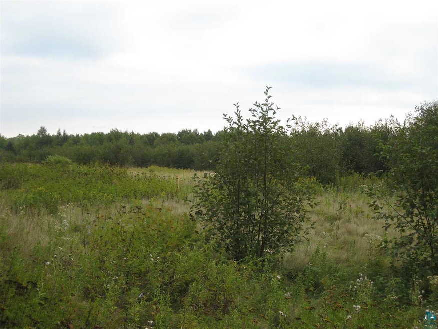 Xx Erickson Rd, Esko, MN 55733 - photo 1