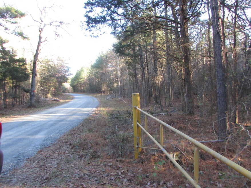 Lot 2 & 4 Lutterloh Rd, Pittsboro, NC 27312 - photo 1