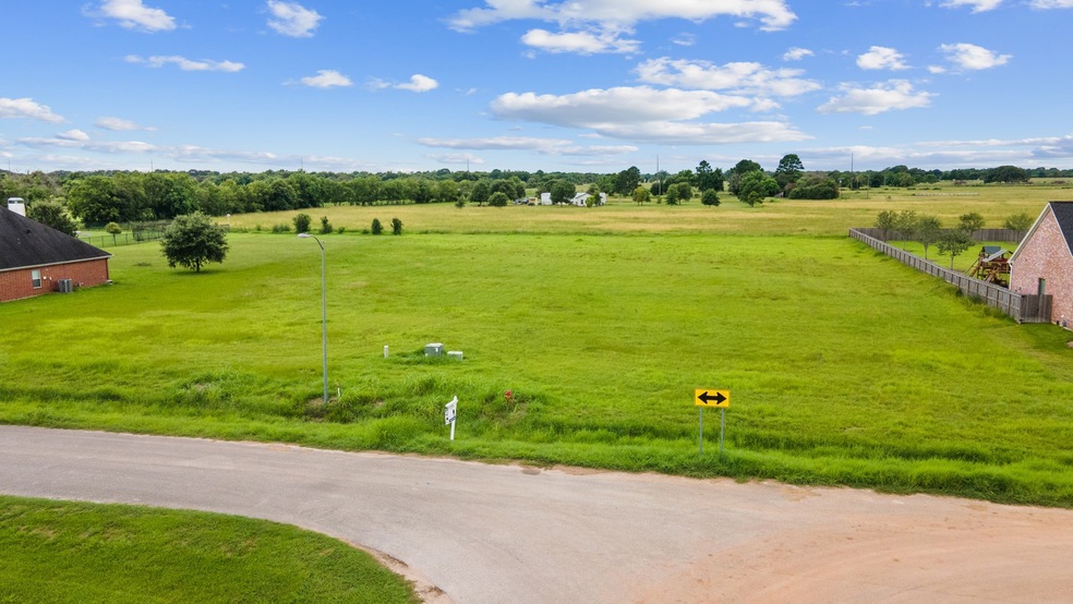 9602 Crescent Cross Dr, Needville, TX 77461 - photo 1