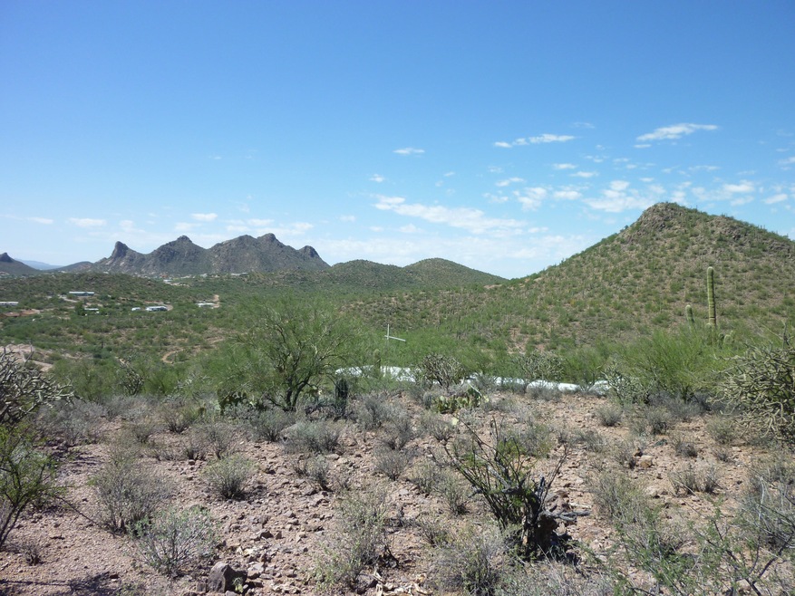 P1030154